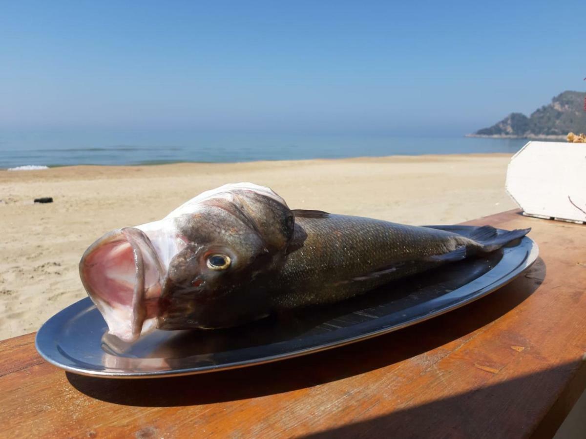 جنوى Bungalow Minonthebeach المظهر الخارجي الصورة