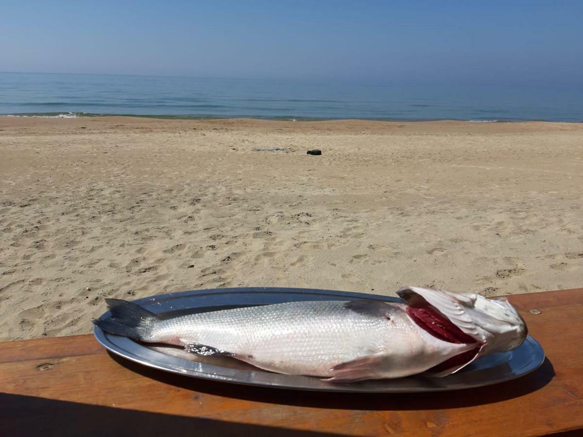 جنوى Bungalow Minonthebeach المظهر الخارجي الصورة
